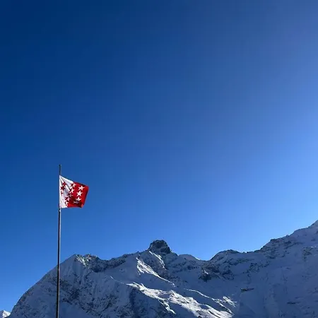 Haus Salue 5 By Interhome Saas Fee